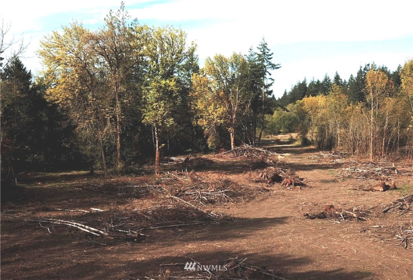 714 Military, Winlock, Washington 98596, ,Land,For Sale,Military,NWM1830930