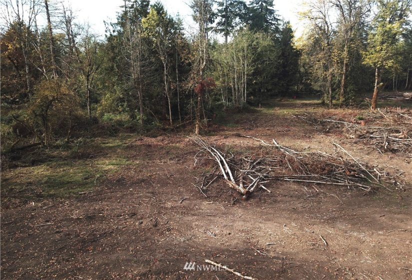 714 Military, Winlock, Washington 98596, ,Land,For Sale,Military,NWM1830930