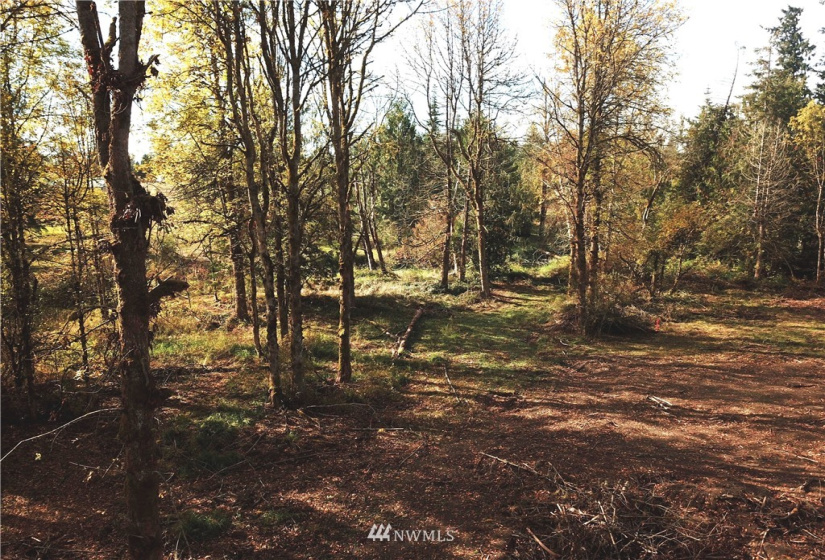 714 Military, Winlock, Washington 98596, ,Land,For Sale,Military,NWM1830930