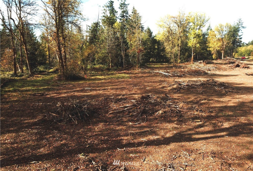 714 Military, Winlock, Washington 98596, ,Land,For Sale,Military,NWM1830930