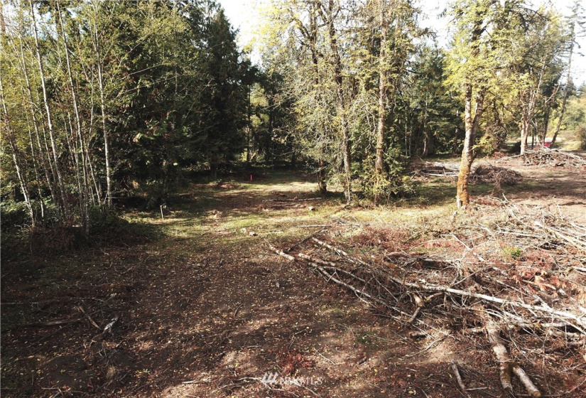 714 Military, Winlock, Washington 98596, ,Land,For Sale,Military,NWM1830930
