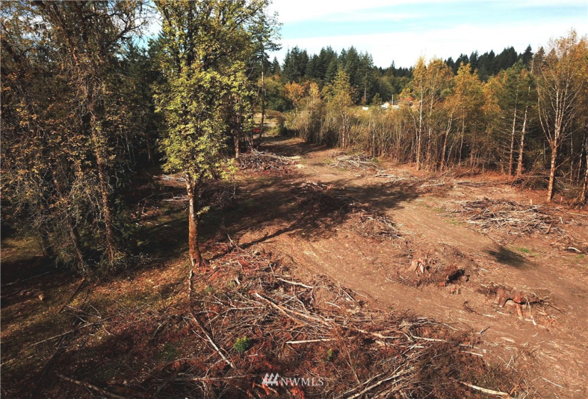 714 Military, Winlock, Washington 98596, ,Land,For Sale,Military,NWM1830930