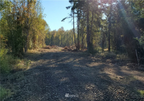 714 Military, Winlock, Washington 98596, ,Land,For Sale,Military,NWM1830930