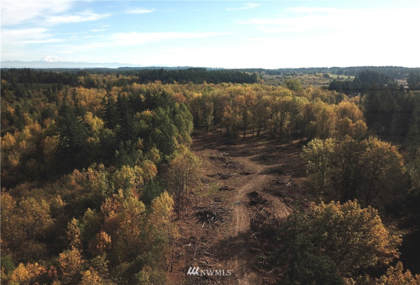 714 Military, Winlock, Washington 98596, ,Land,For Sale,Military,NWM1830930