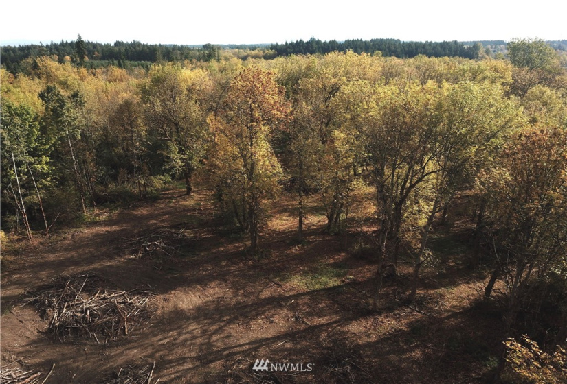 714 Military, Winlock, Washington 98596, ,Land,For Sale,Military,NWM1830930