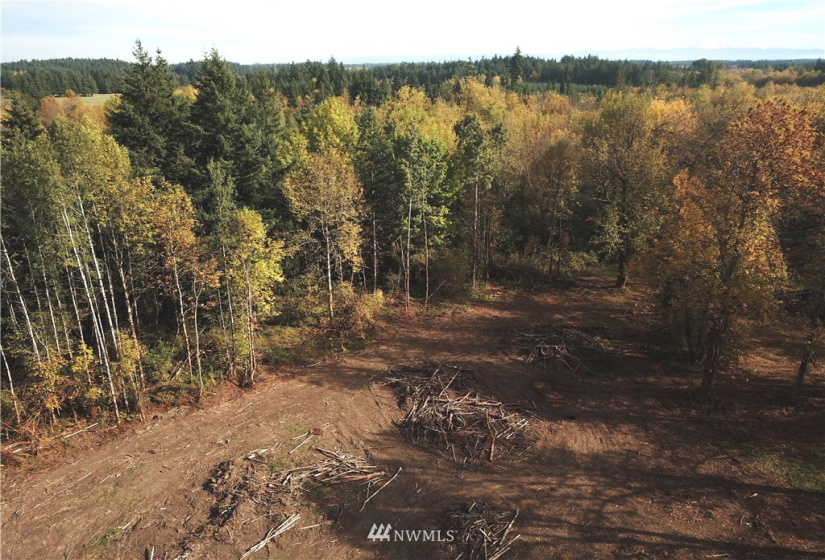 714 Military, Winlock, Washington 98596, ,Land,For Sale,Military,NWM1830930