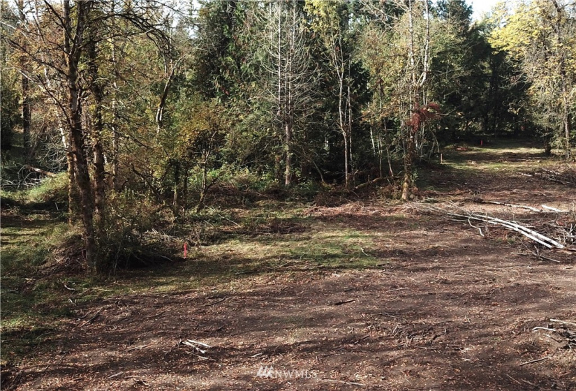 714 Military, Winlock, Washington 98596, ,Land,For Sale,Military,NWM1830930
