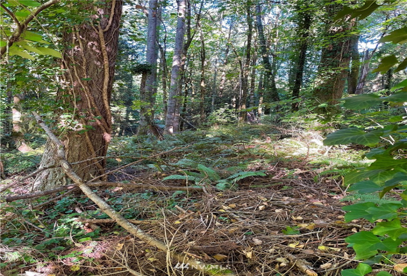 0 xxx Frederick, Olympia, Washington 98501, ,Land,For Sale,Frederick,NWM1843680
