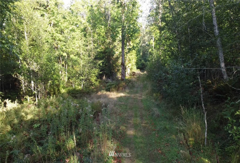 9999 Fors, Port Angeles, Washington 98362, ,Land,For Sale,Fors,NWM1845306