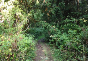 9999 Fors, Port Angeles, Washington 98362, ,Land,For Sale,Fors,NWM1845304