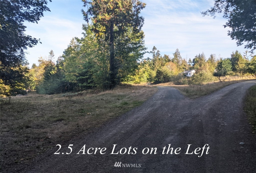 9999 Fors, Port Angeles, Washington 98362, ,Land,For Sale,Fors,NWM1845304