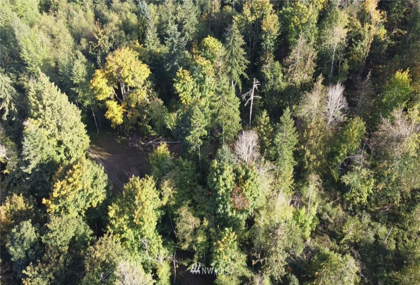9999 Fors, Port Angeles, Washington 98362, ,Land,For Sale,Fors,NWM1845304