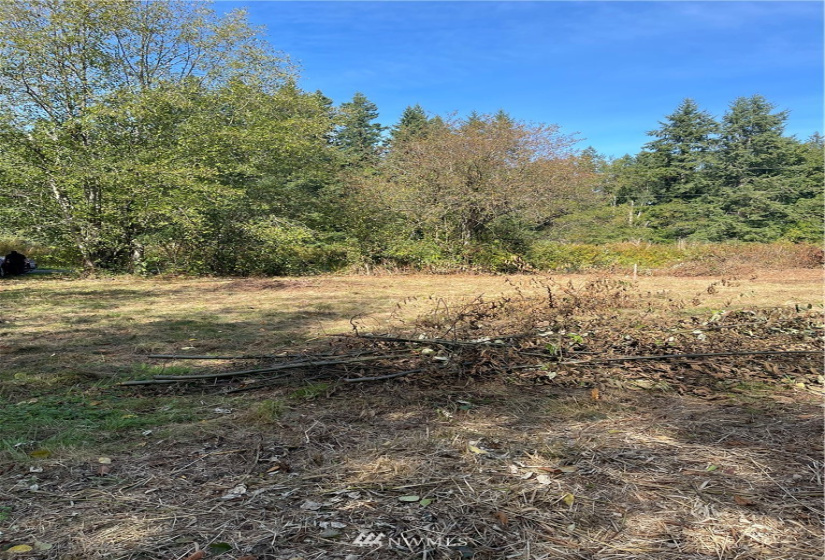 4255 West, Blaine, Washington 98230, ,Land,For Sale,West,NWM1837127