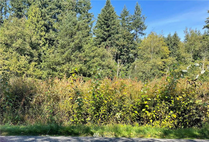 4255 West, Blaine, Washington 98230, ,Land,For Sale,West,NWM1837127