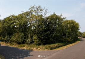 301 Olympic View, Ocean Shores, Washington 98569, ,Land,For Sale,23,Olympic View,NWM1824735