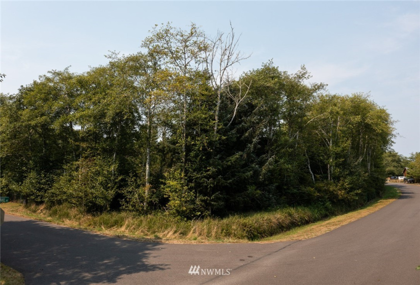 301 Olympic View, Ocean Shores, Washington 98569, ,Land,For Sale,23,Olympic View,NWM1824735