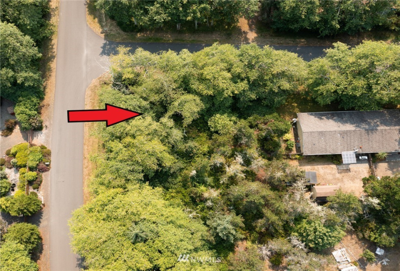 301 Olympic View, Ocean Shores, Washington 98569, ,Land,For Sale,23,Olympic View,NWM1824735