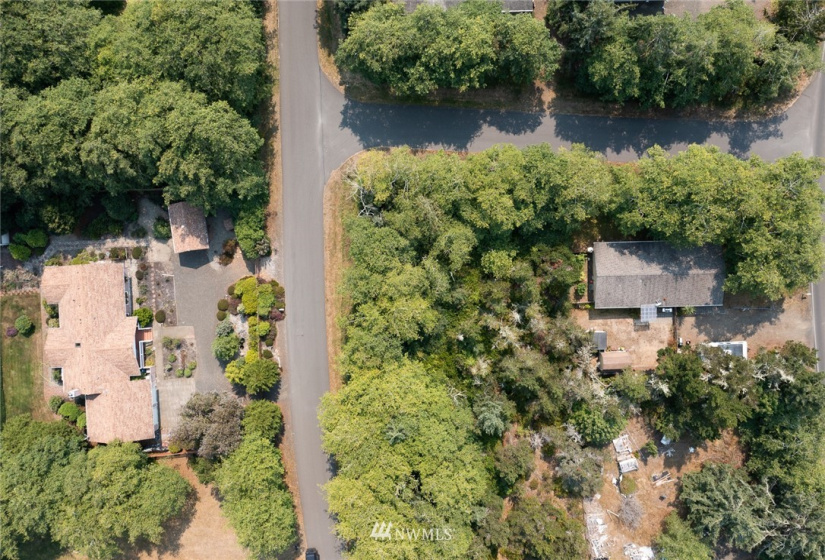 301 Olympic View, Ocean Shores, Washington 98569, ,Land,For Sale,23,Olympic View,NWM1824735