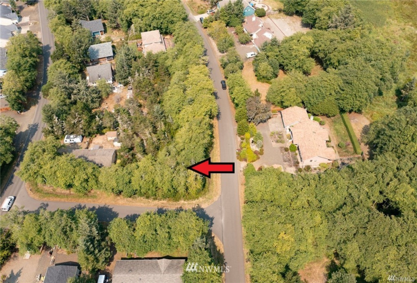 301 Olympic View, Ocean Shores, Washington 98569, ,Land,For Sale,23,Olympic View,NWM1824735