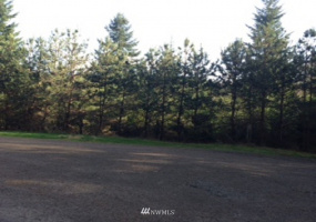 131 Sunny Basin, Castle Rock, Washington 98611, ,Land,For Sale,Sunny Basin,NWM1838138