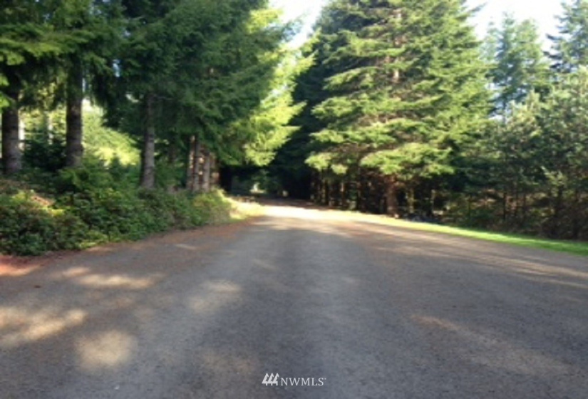 131 Sunny Basin, Castle Rock, Washington 98611, ,Land,For Sale,Sunny Basin,NWM1838138