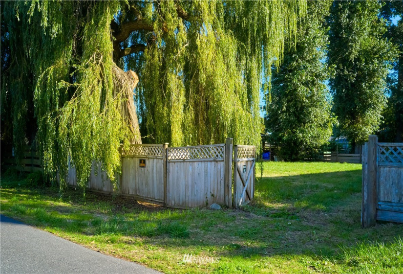 103 Bay View, Point Roberts, Washington 98281, 2 Bedrooms Bedrooms, ,Residential,For Sale,Maple Beach,Bay View,NWM1845446