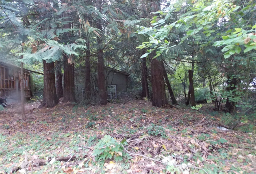 16320 Lawrence Lake, Yelm, Washington 98597, ,Land,For Sale,Lawrence Lake,NWM1844530