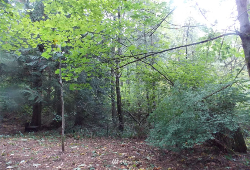 16320 Lawrence Lake, Yelm, Washington 98597, ,Land,For Sale,Lawrence Lake,NWM1844530