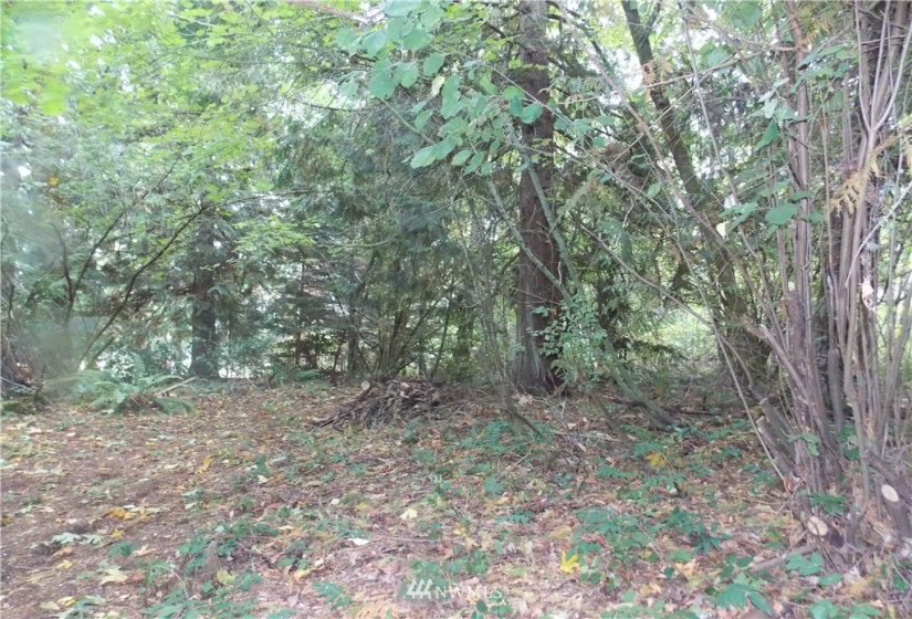 16320 Lawrence Lake, Yelm, Washington 98597, ,Land,For Sale,Lawrence Lake,NWM1844530
