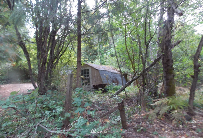 16320 Lawrence Lake, Yelm, Washington 98597, ,Land,For Sale,Lawrence Lake,NWM1844530