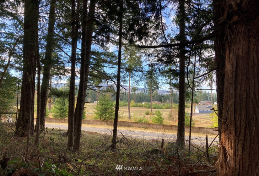 16320 Lawrence Lake, Yelm, Washington 98597, ,Land,For Sale,Lawrence Lake,NWM1844530
