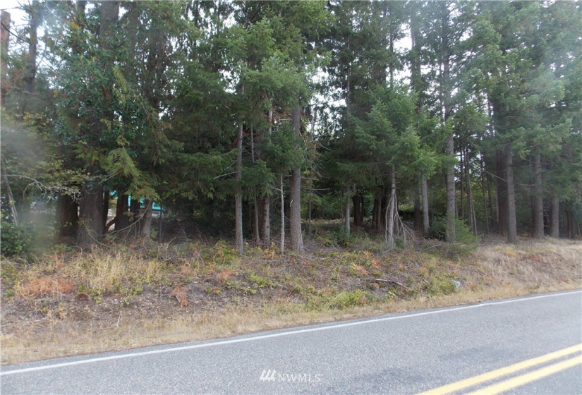 16320 Lawrence Lake, Yelm, Washington 98597, ,Land,For Sale,Lawrence Lake,NWM1844530