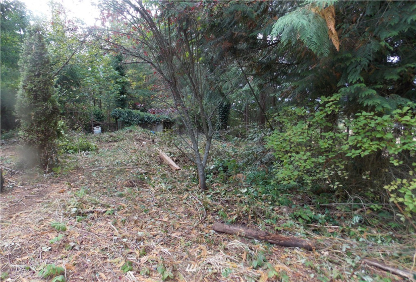 16320 Lawrence Lake, Yelm, Washington 98597, ,Land,For Sale,Lawrence Lake,NWM1844530