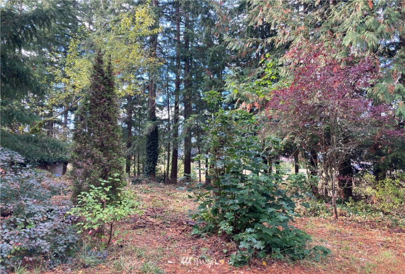 16320 Lawrence Lake, Yelm, Washington 98597, ,Land,For Sale,Lawrence Lake,NWM1844530
