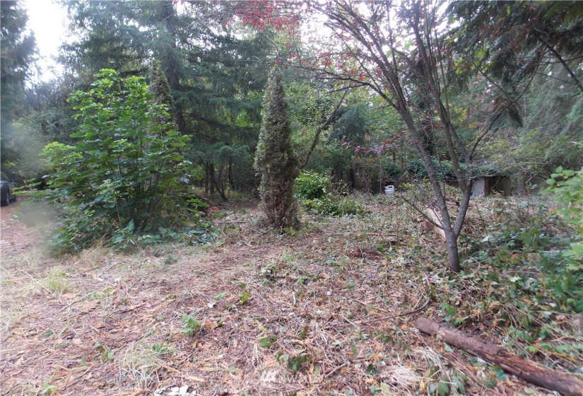 16320 Lawrence Lake, Yelm, Washington 98597, ,Land,For Sale,Lawrence Lake,NWM1844530