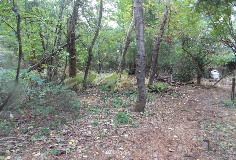 16320 Lawrence Lake, Yelm, Washington 98597, ,Land,For Sale,Lawrence Lake,NWM1844530