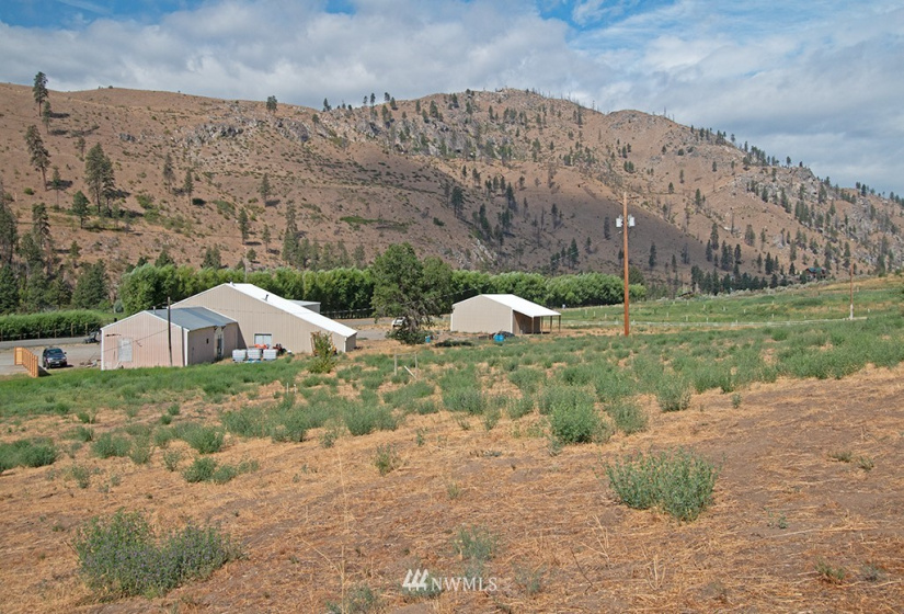 1474 Highway 153, Methow, Washington 98846, ,Commercial Sale,For Sale,Highway 153,NWM1838912