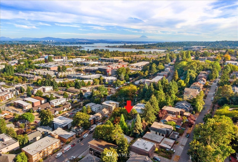 5219 22nd, Seattle, Washington 98105, ,Residential Income,For Sale,22nd,NWM1844988