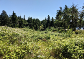813 April, Grapeview, Washington 98546, ,Land,For Sale,April,NWM1793525