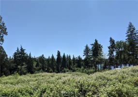 815 April, Grapeview, Washington 98546, ,Land,For Sale,April,NWM1793541
