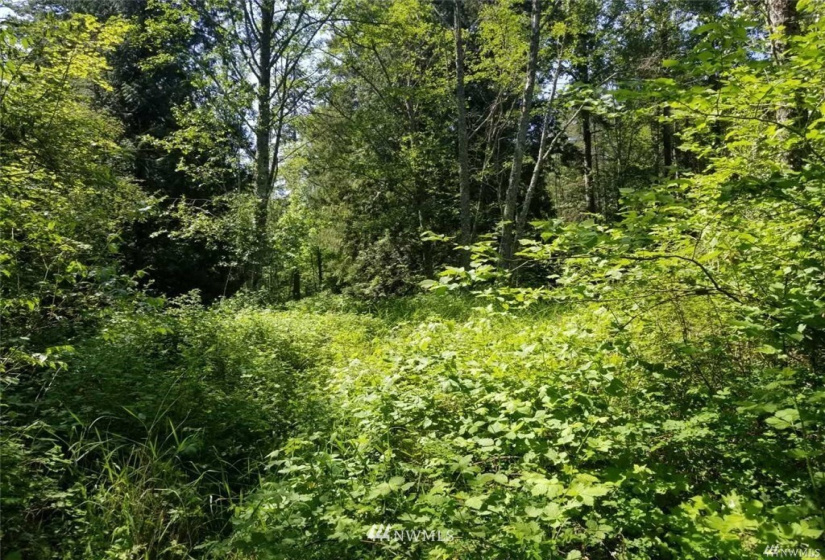 0 Harvey, Blaine, Washington 98230, ,Land,For Sale,Oak Park Add to Blaine,Harvey,NWM1846041