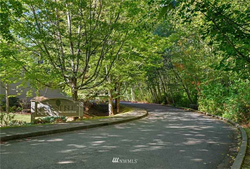 14714 53rd, Edmonds, Washington 98026, 3 Bedrooms Bedrooms, ,2 BathroomsBathrooms,Residential,For Sale,Forest Isle,53rd,NWM1846188