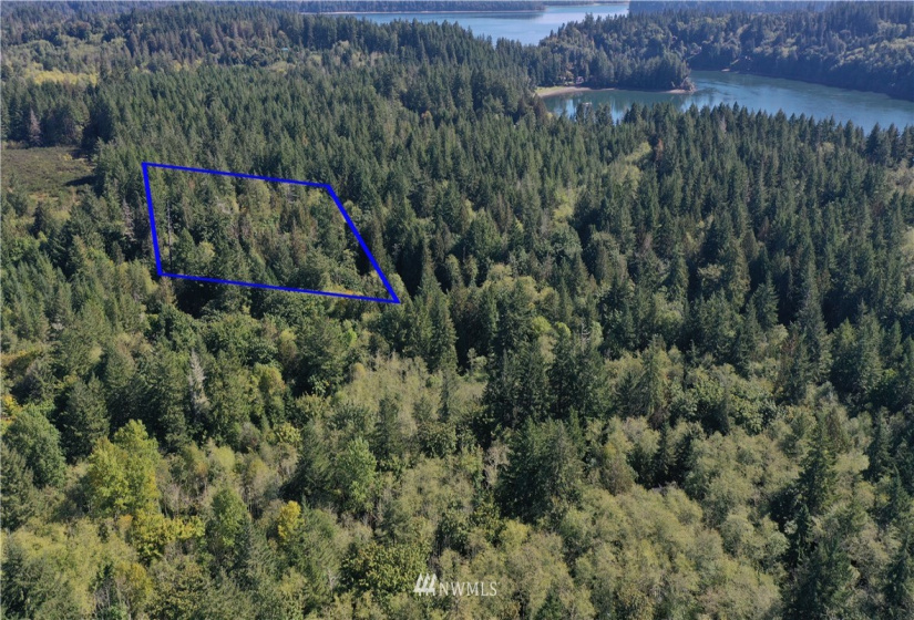 0 XXXX, Shelton, Washington 98584, ,Land,For Sale,XXXX,NWM1844976