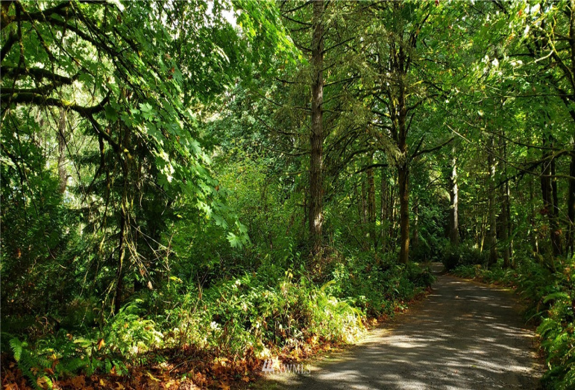 0 40th KPS, Longbranch, Washington 98351, ,Land,For Sale,40th KPS,NWM1845638