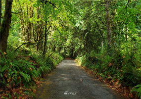 0 40th KPS, Longbranch, Washington 98351, ,Land,For Sale,40th KPS,NWM1845638