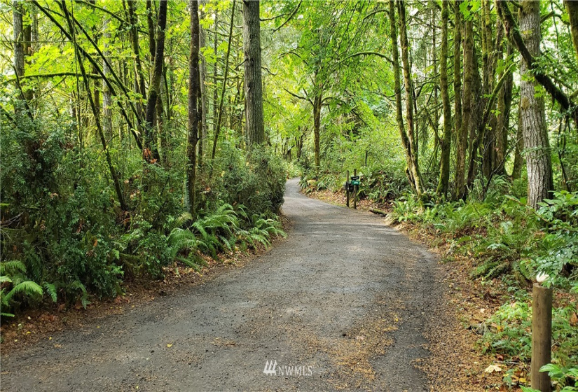 0 40th KPS, Longbranch, Washington 98351, ,Land,For Sale,40th KPS,NWM1845638