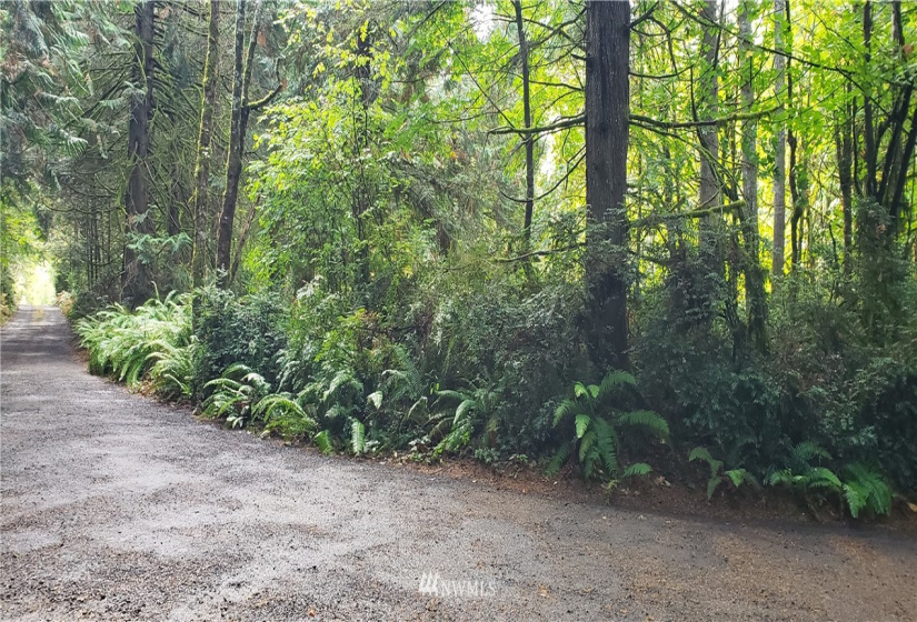 0 40th KPS, Longbranch, Washington 98351, ,Land,For Sale,40th KPS,NWM1845638
