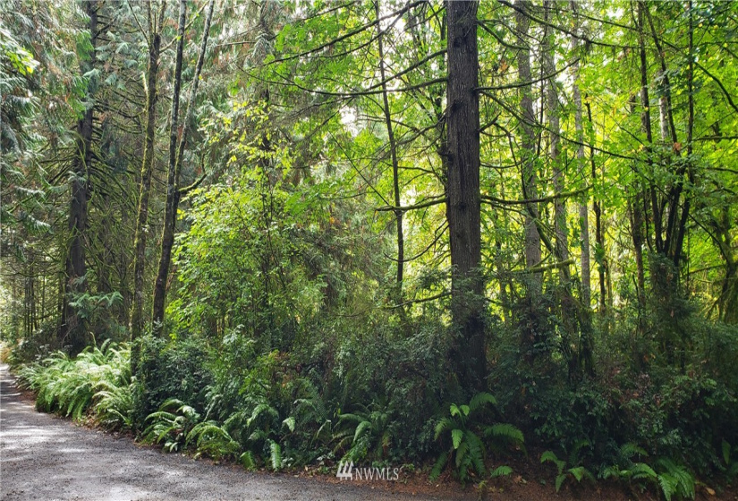 0 40th KPS, Longbranch, Washington 98351, ,Land,For Sale,40th KPS,NWM1845638