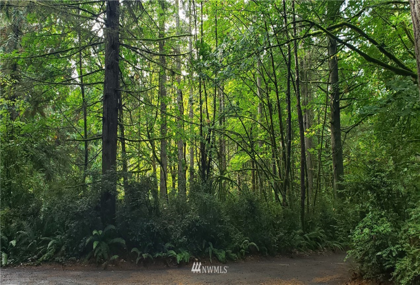 0 40th KPS, Longbranch, Washington 98351, ,Land,For Sale,40th KPS,NWM1845638