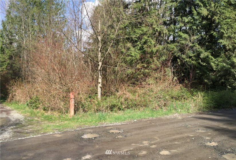 6600 300th, Roy, Washington 98580, ,Land,For Sale,300th,NWM1221517